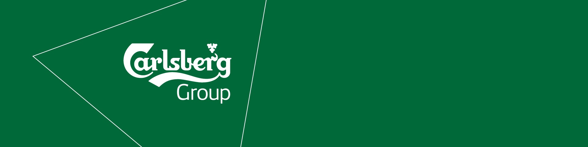 Promotion Solution For Carlsberg