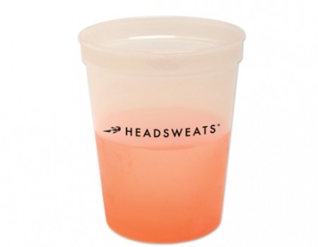 16 oz Elusive Mood Cup