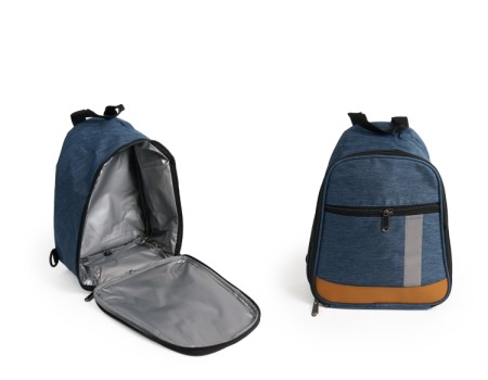 Color-Block Cooler Backpack