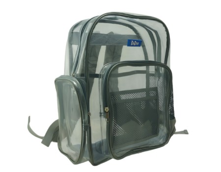 Transparent Backpack