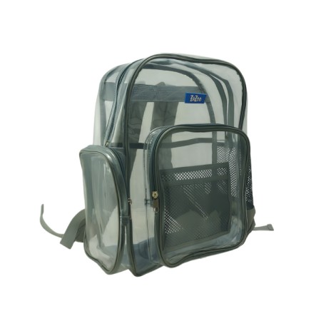 Transparent Backpack